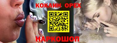 гашик Моздок