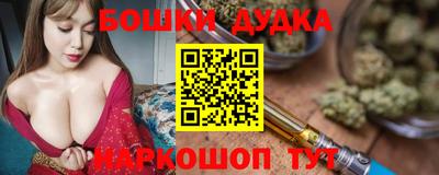 гашик Моздок