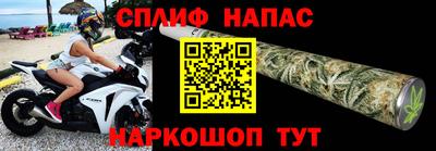 гашик Моздок