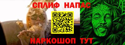 гашик Моздок