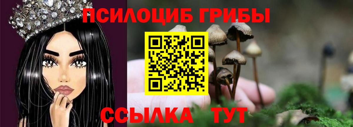 Галлюциногенные грибы мицелий Канаш